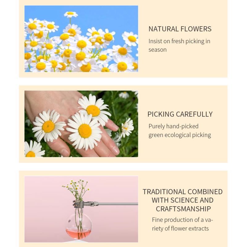 Chamomile Floral Moisturizing Body Shower Gel
