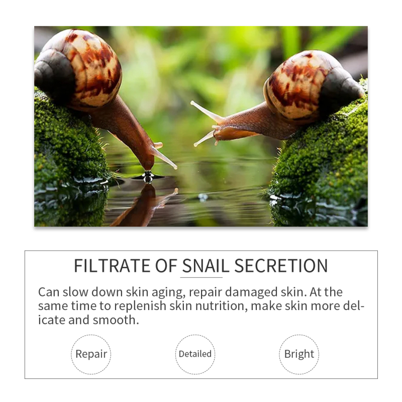 Snail Whitening Cream