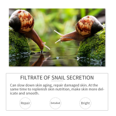 Snail Whitening Facial Set
