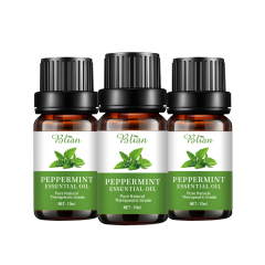Mint Refreshed Calm Rejuvenate Massage Essential Oil