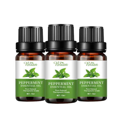 Mint Refreshed Calm Rejuvenate Massage Essential Oil