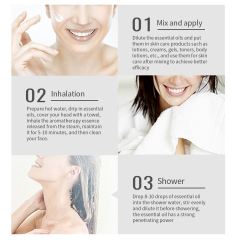 Mint Refreshed Calm Rejuvenate Massage Essential Oil