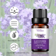 Lavender Refreshed Calm Relaxes Massage Essential Oil