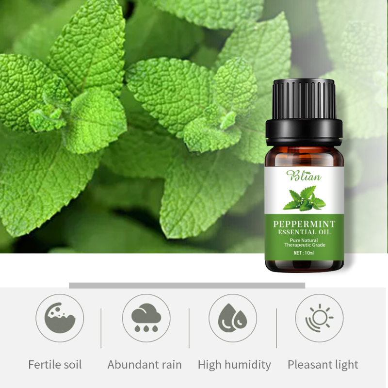 Mint Refreshed Calm Rejuvenate Massage Essential Oil