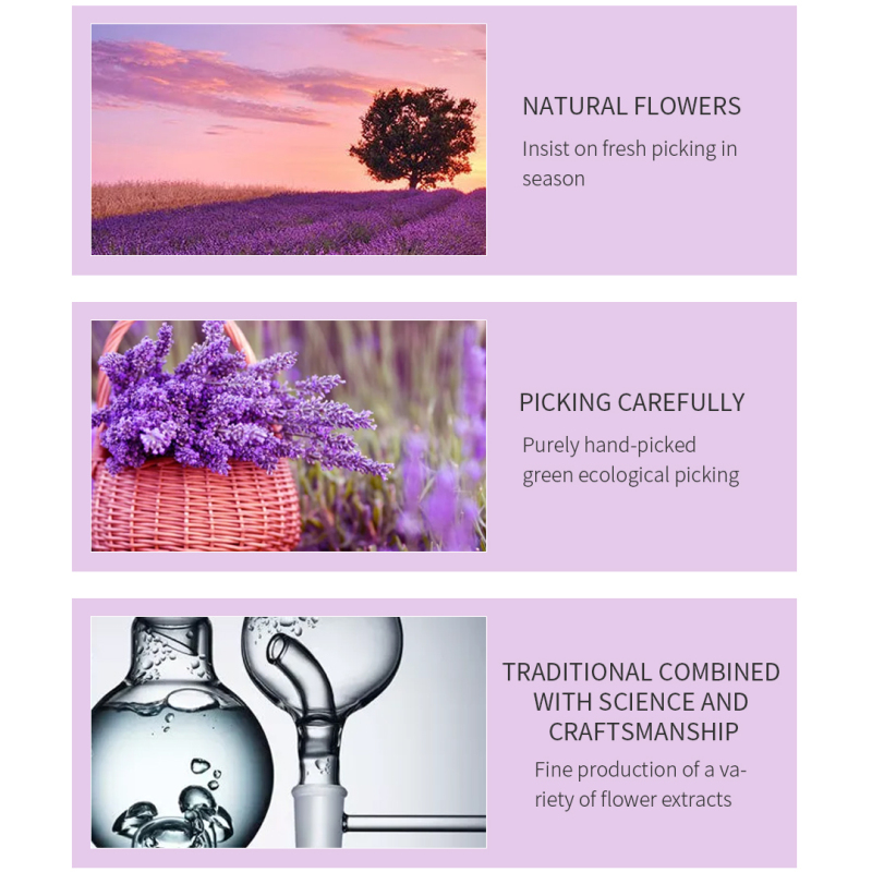 Lavender Scent Moisturizing Body Shower Gel