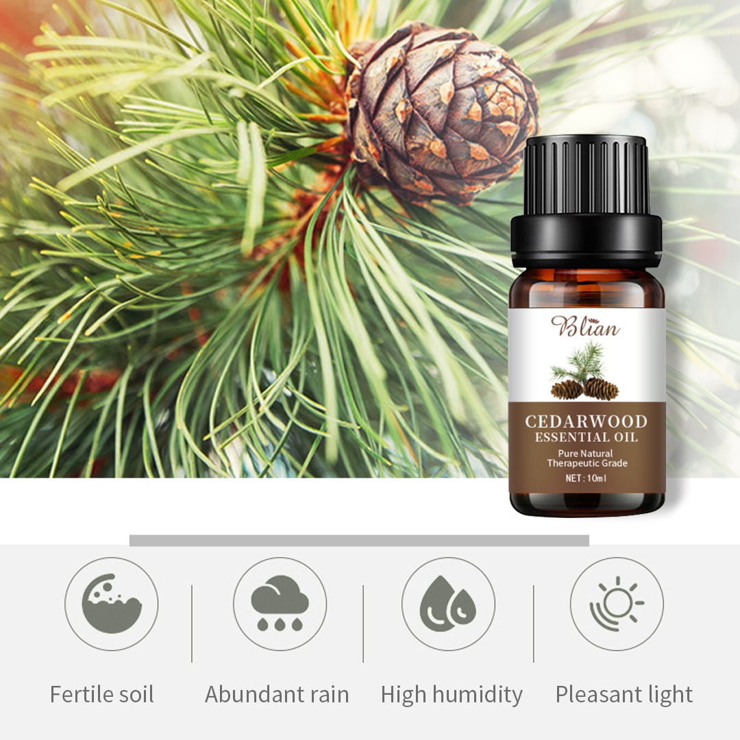 Cedar Wood Relieve Tension Massage Essential Oil
