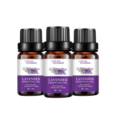 Lavender Refreshed Calm Relaxes Massage Essential Oil
