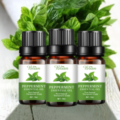 Mint Refreshed Calm Rejuvenate Massage Essential Oil
