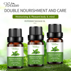 Mint Refreshed Calm Rejuvenate Massage Essential Oil