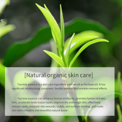 Tea Tree Anti-Acne Moisturizing Nourish Face Set