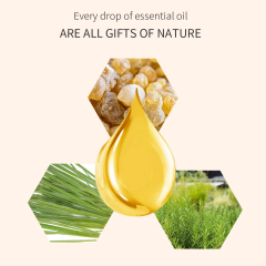 Frankincense Rosemary Lemony Relax Nourishes Hydrates Aromatherapyessential Oil