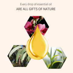 Orchid Tea Tree Eucalyptus Relax Nourishes Hydrates Aromatherapyessential Oil
