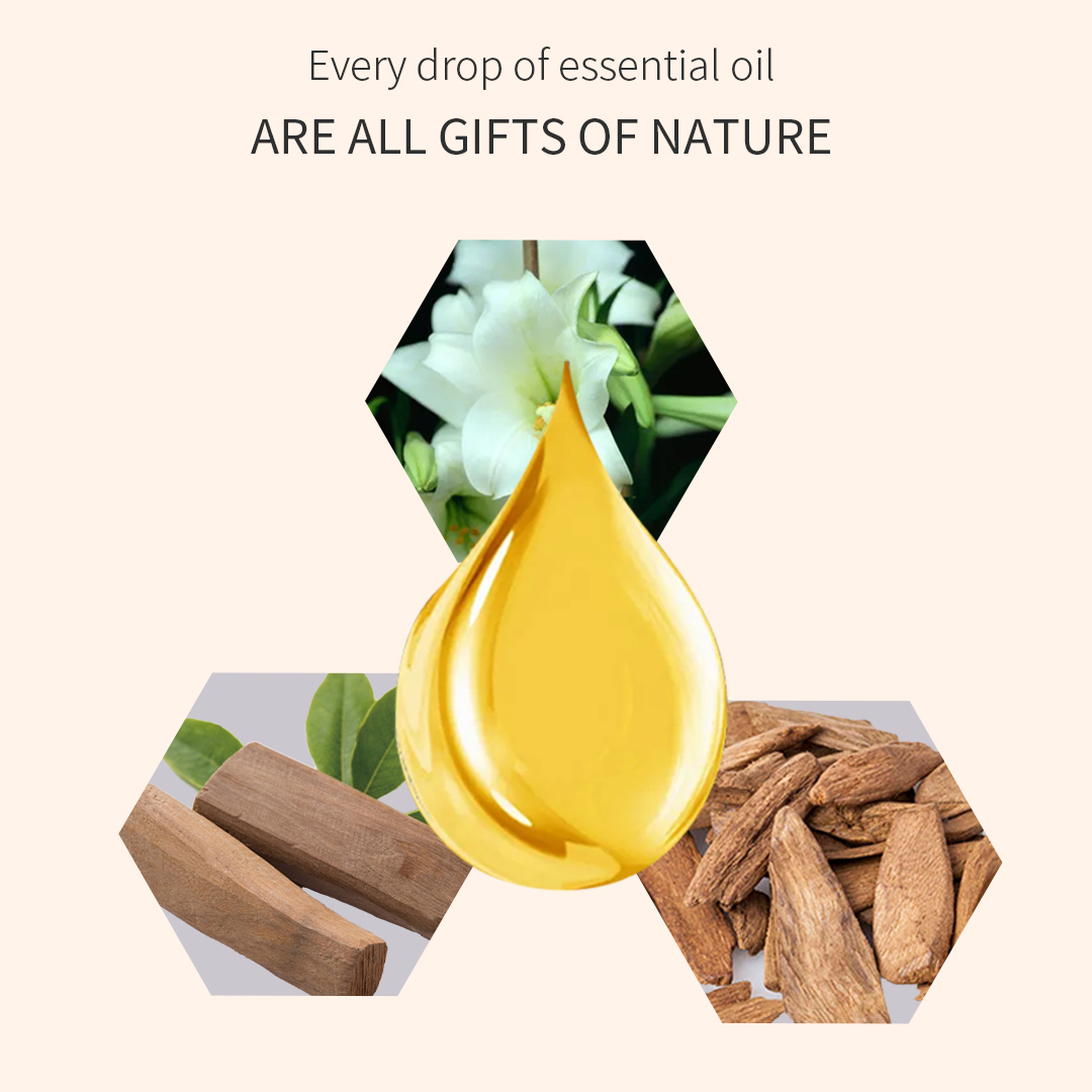 Lily Sandalwood Agarwood Relax Nourishes Hydrates Aromatherapyessential Oil