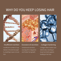 Ginseng Angelica Hair Growth Massage Essence
