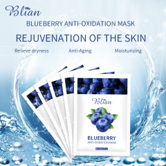 Blueberry Brightening Facial Mask