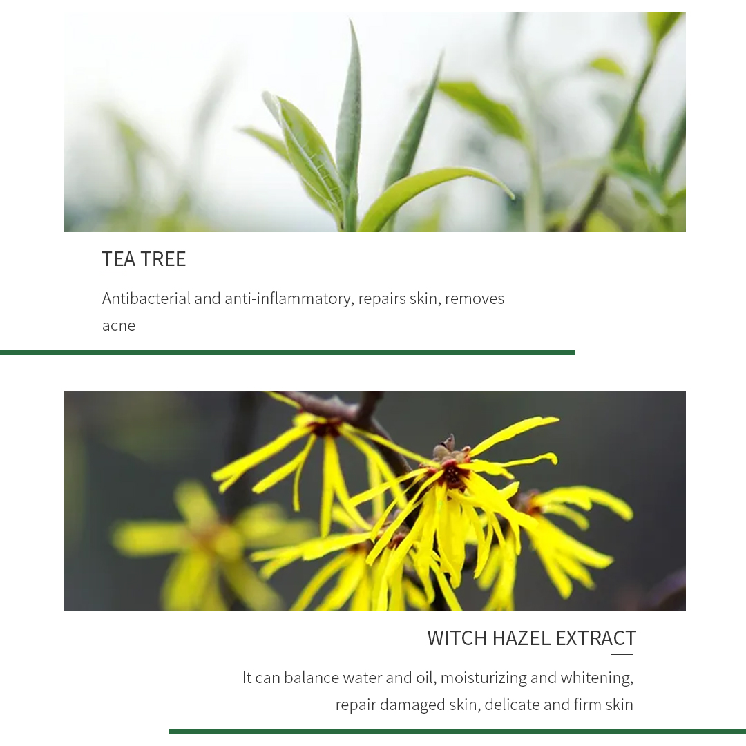 Tea Tree Witch Hazel Remove Acne And Tighten Pores Facial Toner