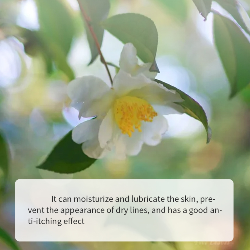 Camellia Seed Oil Long-Lasting Moisturizing, Facial Skin Care Set