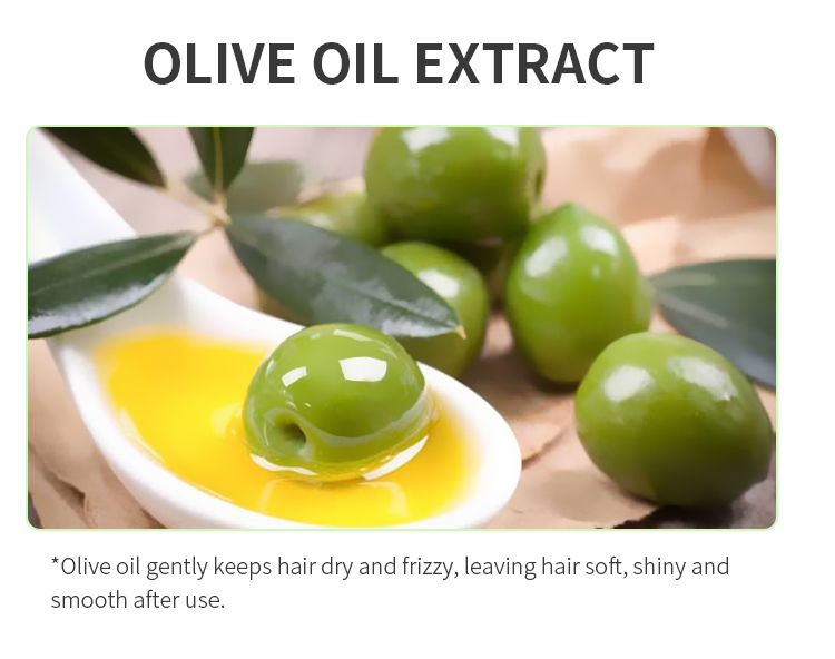 Olive Oil Anti-Dangdruff Moisture Hair Shampoo
