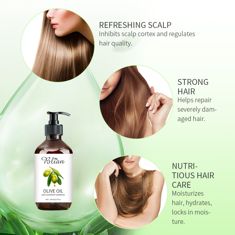 Olive Oil Anti-Dangdruff Moisture Hair Shampoo