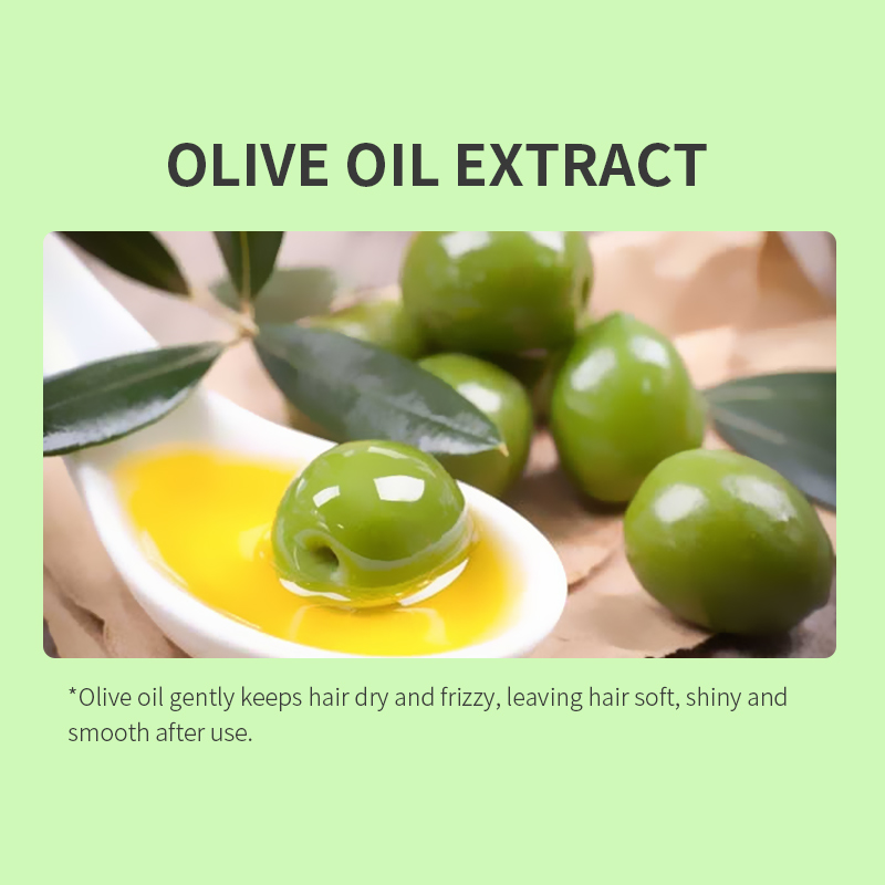 Olive Oil Anti-Dangdruff Moisture Hair Shampoo
