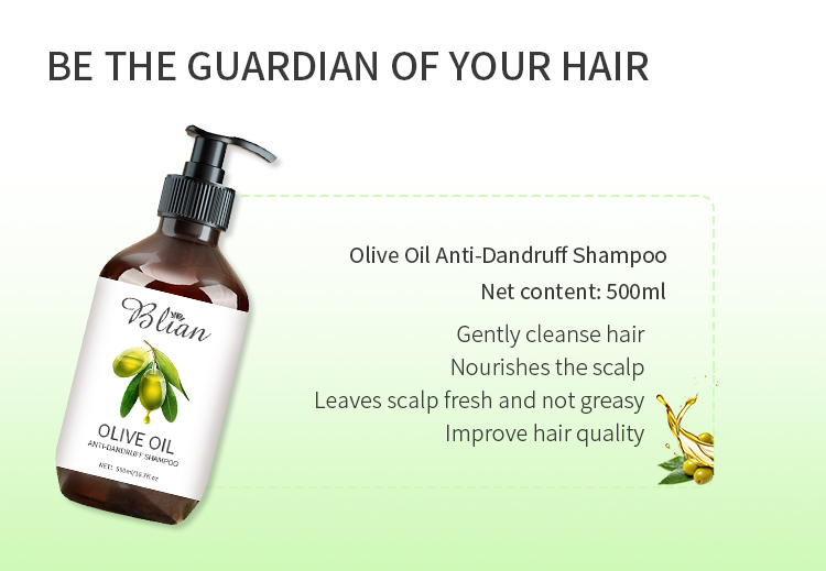 Olive Oil Anti-Dangdruff Moisture Hair Shampoo