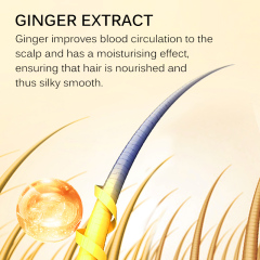 300ml Ginger Treatment Shampoo