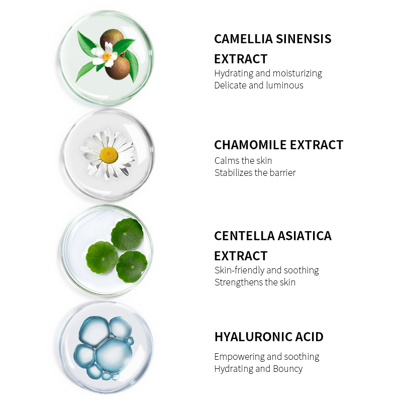 Camellia Extract Gentle Non-Irritating Face Repair Treatment Set
