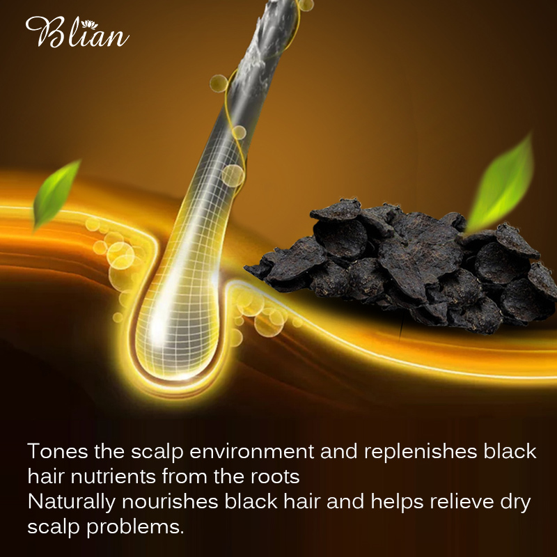 Polygonum multiflorum essence anti hair loss hair care kit