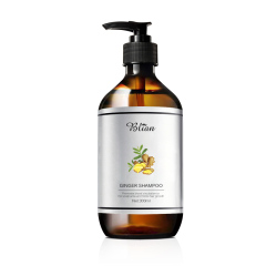 300ml Ginger Treatment Shampoo