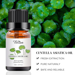 Centella Asiatica Extract Massage Oil