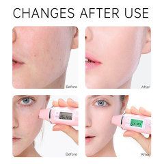 Rose Facial Toner