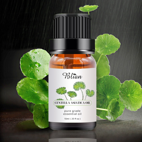 Centella Asiatica Extract Massage Oil