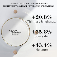 Beauty Air Cushion