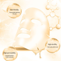 Snail Extract Facial Mask