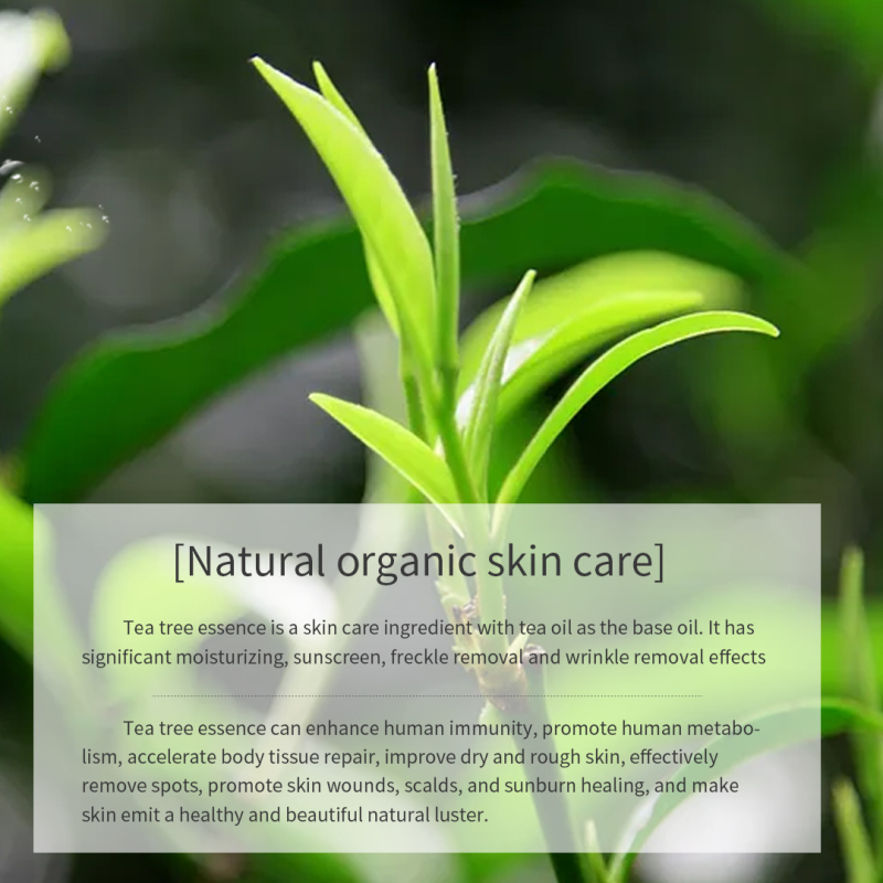 Tea Tree Extract Facial Mask