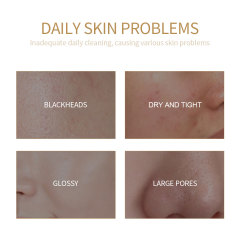 Snail Extract Facial Mask
