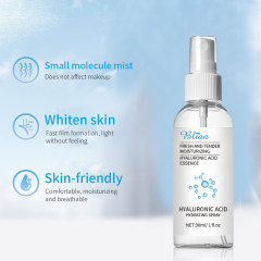 Hyaluronic Acid Hydrating Toner Facial Spray