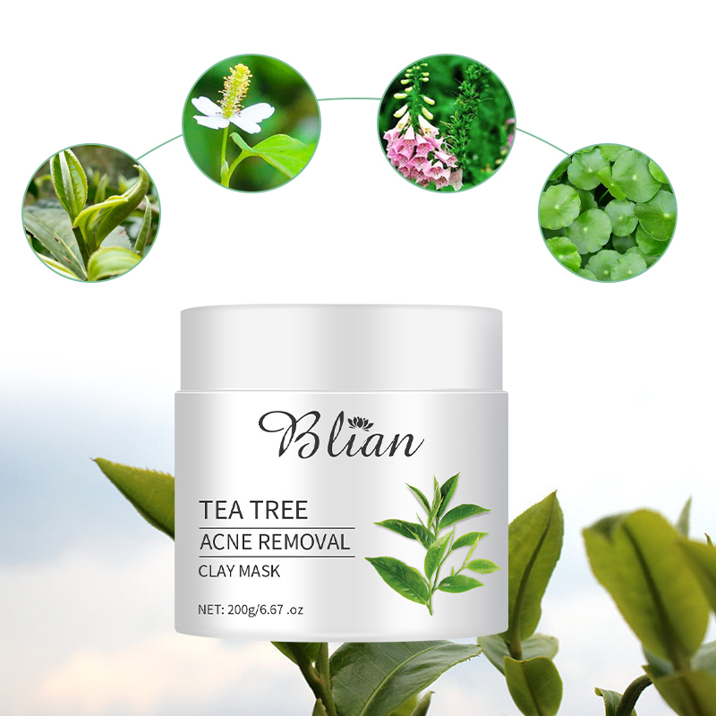 Tea Tree Acne Mud Mask
