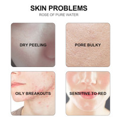 Hyaluronic Acid Hydrating Toner Facial Spray