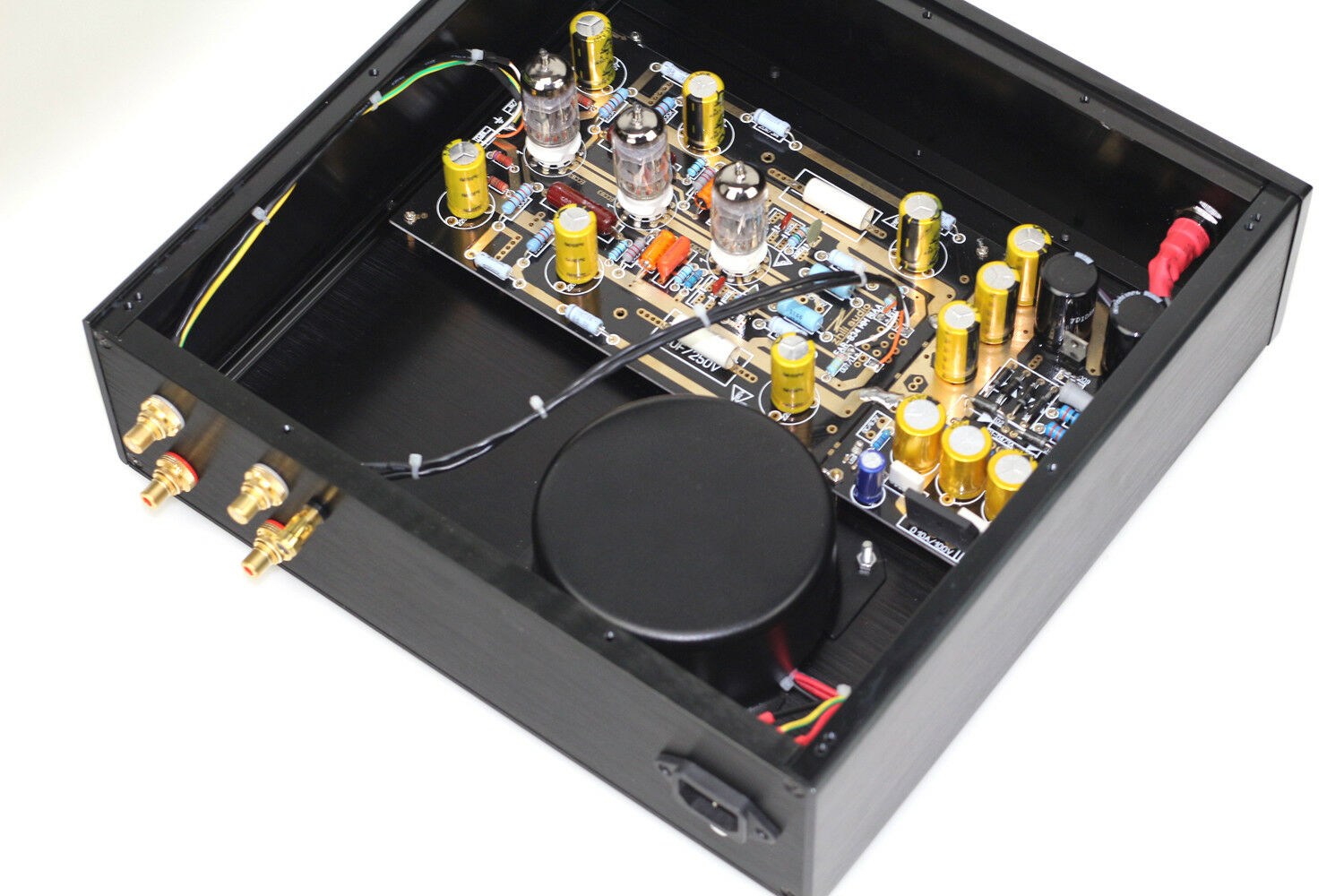 Hiend MM Riaa ECC83 Tube Phono amp base on Ear 834 Turntables preamplifier