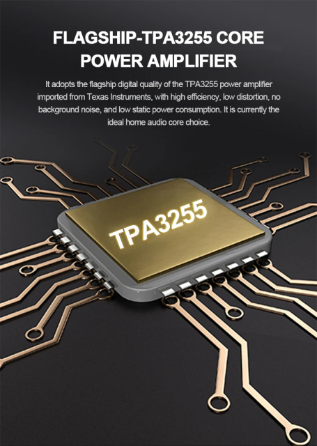 TPA3255 XLR Digital Amplifier Fully Balanced Input and Output 300W*2 Audiophile HiFi Stereo Amp