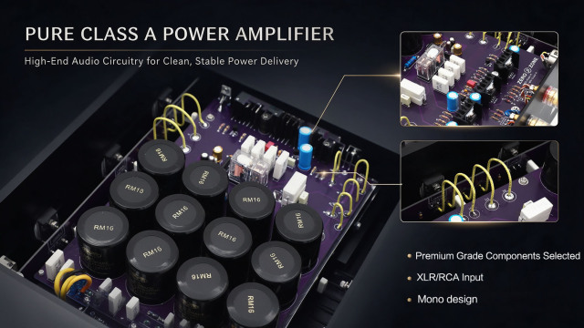 HI-END PASS A5 Mono Pure Class A Power Amplifier 60W Amplifier Base On Pass Labs Aleph-5 Support XLR /RCA Input