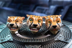4th Party Masterpiece BW-11 MP-34 Cheetor