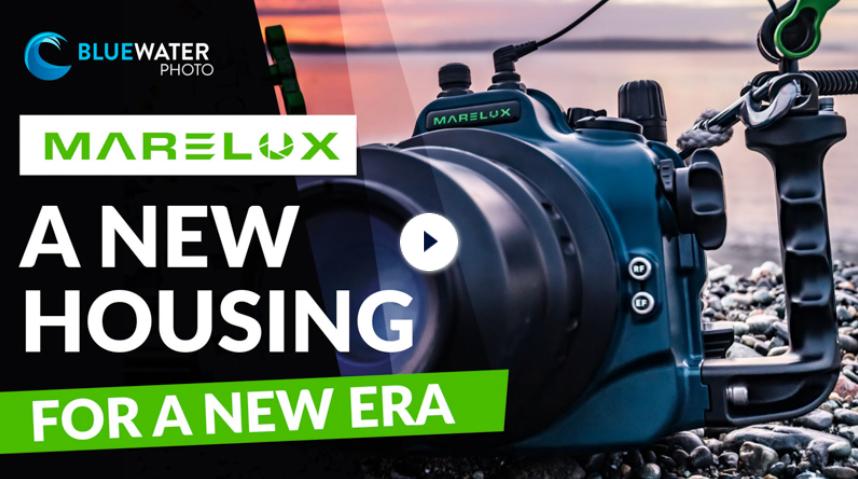 Bluewater Photo became the first Marelux Dealer in North America