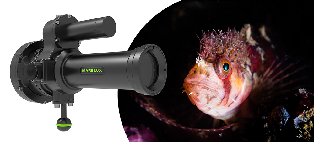 Marelux SOFT Review by Underwater Photography Guide