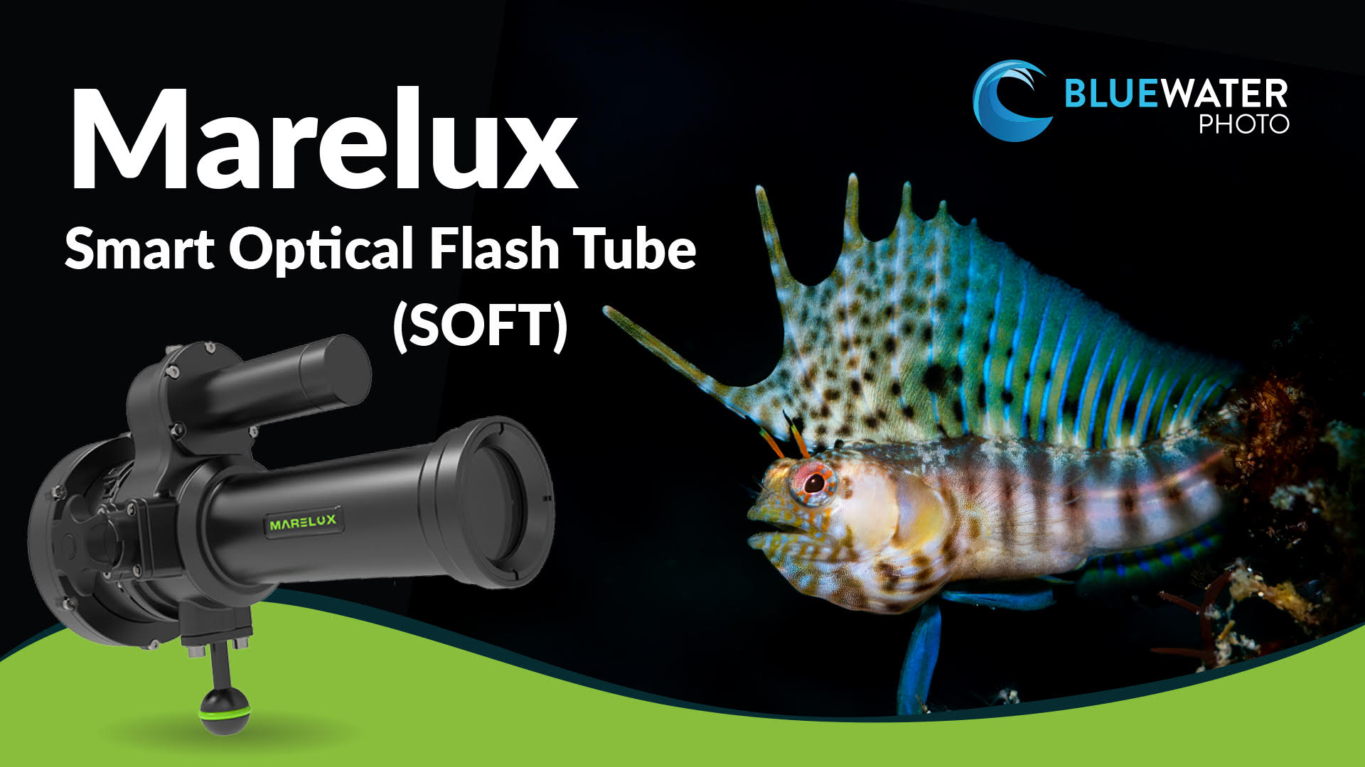 Marelux Smart Optical Flash Tube (SOFT) Snoot Underwater Review