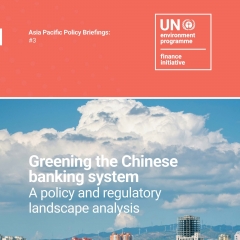 绿化中国的银行体系：政策与监管措施分析（中文执行摘要和英文全文）