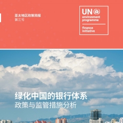 绿化中国的银行体系：政策与监管措施分析（中文执行摘要和英文全文）