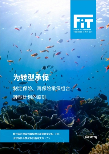 为转型承保：制定保险、再保险承保组合转型计划的原则（中文摘要）