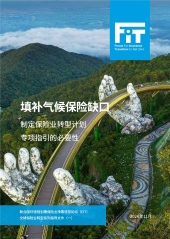 填补气候保险缺口：制定保险业转型计划专项指引的必要性（中文摘要）